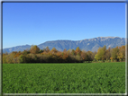 foto Paesaggi Autunnali tra le colline Fontesi